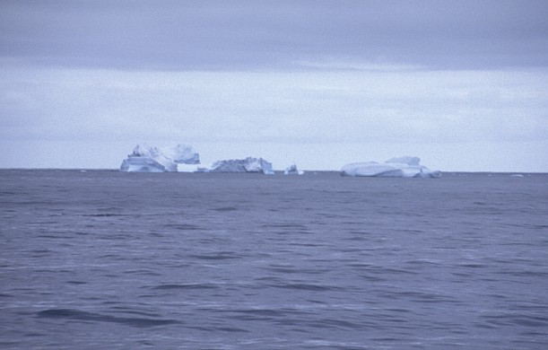 treibendeicebergs.jpg